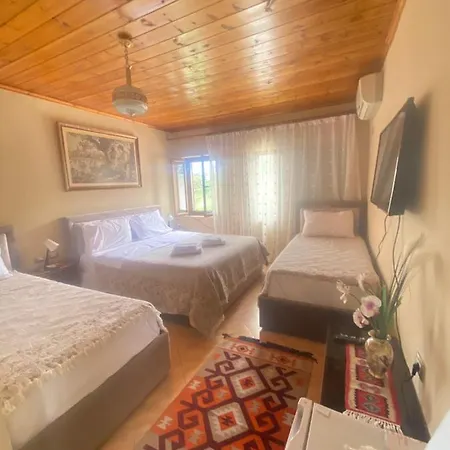 Marko's House ゲストハウス 3*